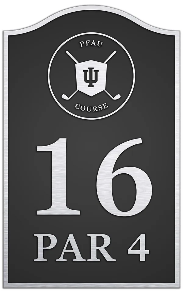 Hole-in-One Plaque — custom bronze country club plaque