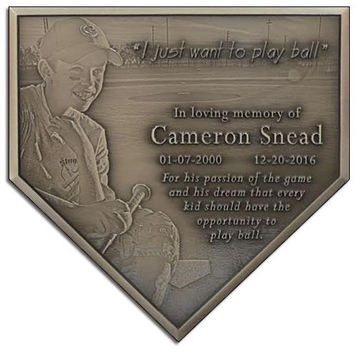 Little League World Series Bronze Plaques