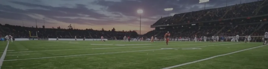 Photo of a football field for custom plaque call-to-action.