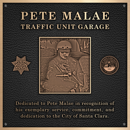 Cast bronze metal letters identifying a police station.